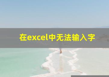 在excel中无法输入字