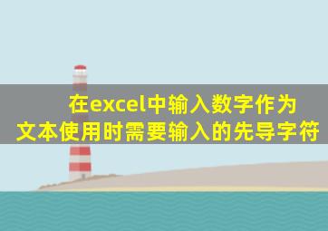 在excel中输入数字作为文本使用时需要输入的先导字符