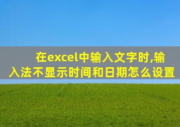 在excel中输入文字时,输入法不显示时间和日期怎么设置