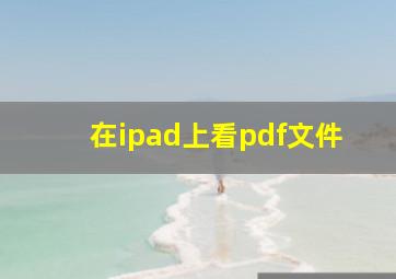 在ipad上看pdf文件