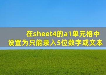 在sheet4的a1单元格中设置为只能录入5位数字或文本