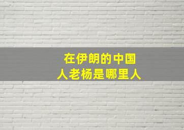 在伊朗的中国人老杨是哪里人