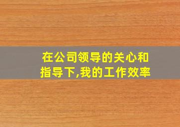 在公司领导的关心和指导下,我的工作效率