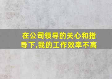 在公司领导的关心和指导下,我的工作效率不高