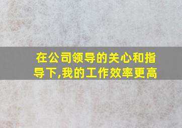 在公司领导的关心和指导下,我的工作效率更高