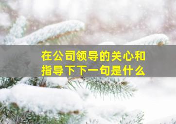 在公司领导的关心和指导下下一句是什么