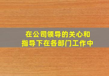 在公司领导的关心和指导下在各部门工作中