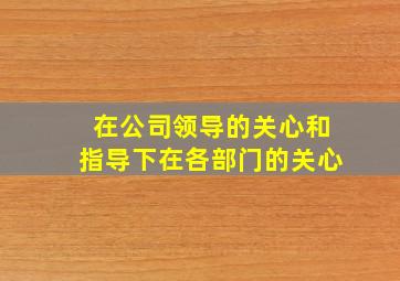 在公司领导的关心和指导下在各部门的关心