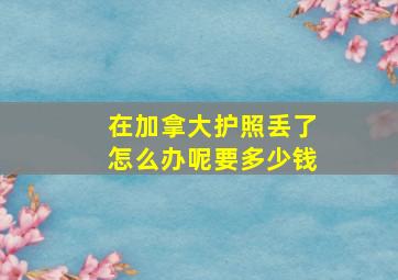 在加拿大护照丢了怎么办呢要多少钱