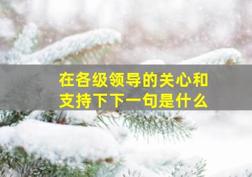 在各级领导的关心和支持下下一句是什么