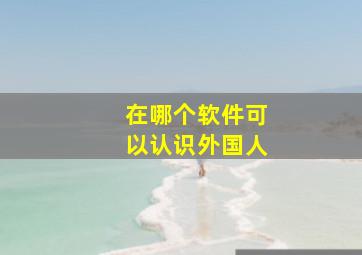 在哪个软件可以认识外国人