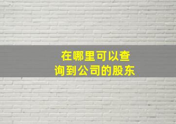 在哪里可以查询到公司的股东