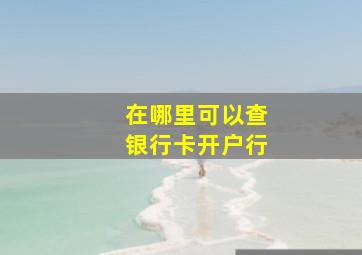 在哪里可以查银行卡开户行