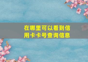 在哪里可以看到信用卡卡号查询信息