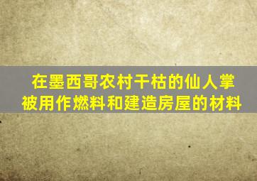 在墨西哥农村干枯的仙人掌被用作燃料和建造房屋的材料