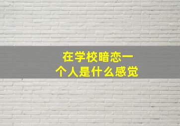 在学校暗恋一个人是什么感觉