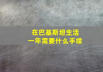 在巴基斯坦生活一年需要什么手续