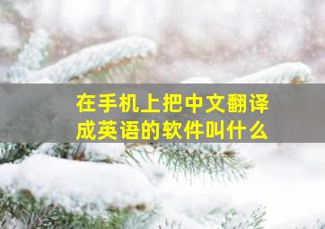 在手机上把中文翻译成英语的软件叫什么