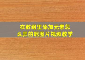 在数组里添加元素怎么弄的呢图片视频教学