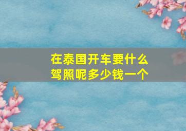 在泰国开车要什么驾照呢多少钱一个