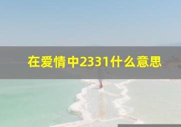 在爱情中2331什么意思