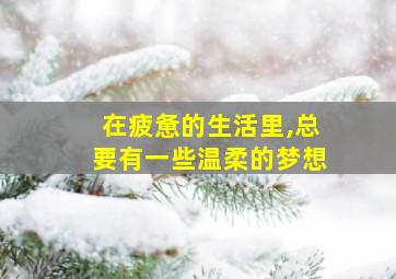 在疲惫的生活里,总要有一些温柔的梦想