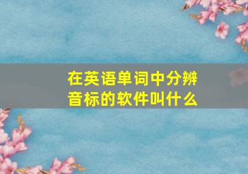 在英语单词中分辨音标的软件叫什么