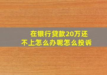 在银行贷款20万还不上怎么办呢怎么投诉