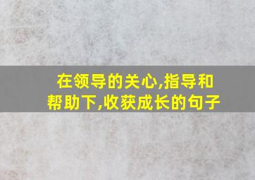 在领导的关心,指导和帮助下,收获成长的句子