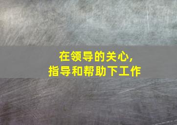 在领导的关心,指导和帮助下工作