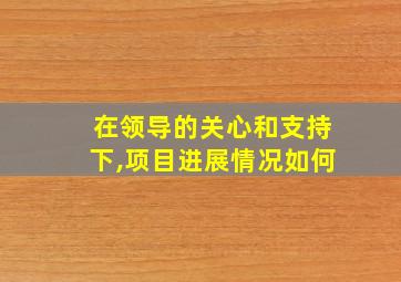 在领导的关心和支持下,项目进展情况如何