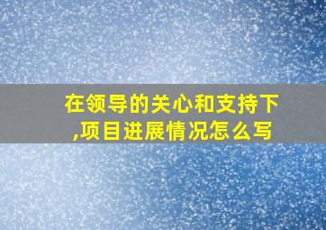 在领导的关心和支持下,项目进展情况怎么写