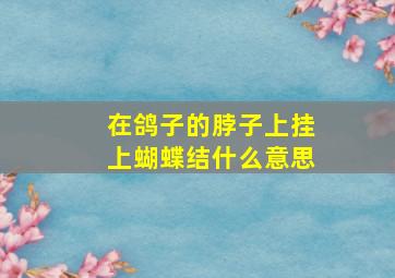 在鸽子的脖子上挂上蝴蝶结什么意思