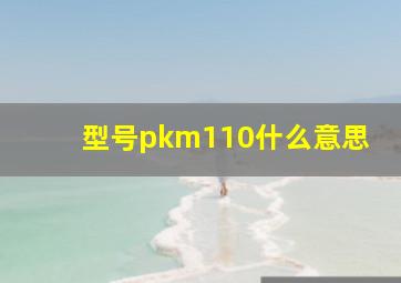 型号pkm110什么意思