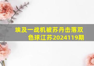 埃及一战机被苏丹击落双色球江苏2024119期