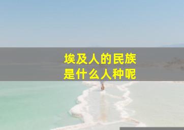 埃及人的民族是什么人种呢