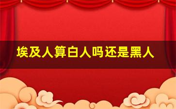 埃及人算白人吗还是黑人