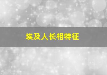 埃及人长相特征