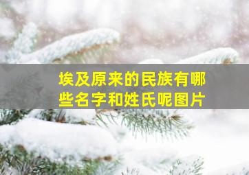 埃及原来的民族有哪些名字和姓氏呢图片