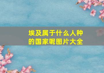 埃及属于什么人种的国家呢图片大全