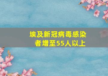 埃及新冠病毒感染者增至55人以上