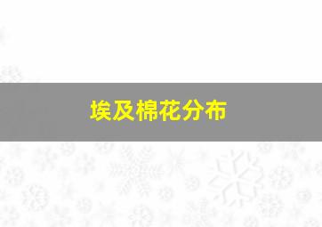 埃及棉花分布