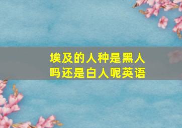 埃及的人种是黑人吗还是白人呢英语