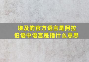 埃及的官方语言是阿拉伯语中语言是指什么意思