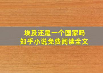 埃及还是一个国家吗知乎小说免费阅读全文