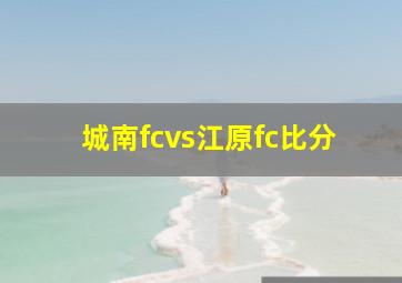 城南fcvs江原fc比分