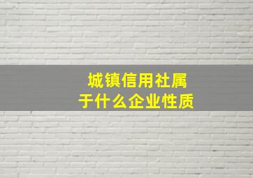 城镇信用社属于什么企业性质