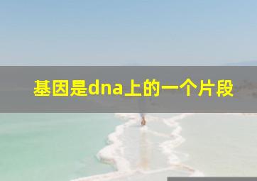 基因是dna上的一个片段