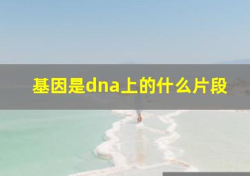 基因是dna上的什么片段