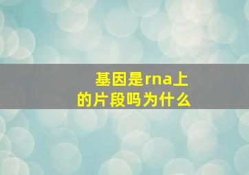 基因是rna上的片段吗为什么